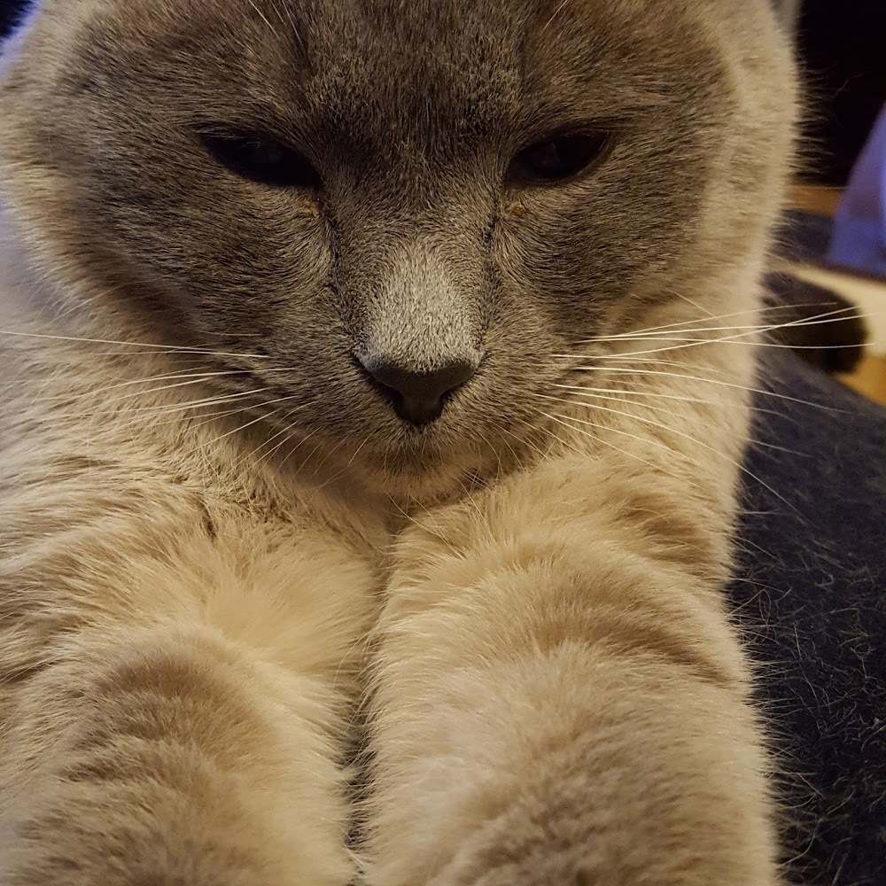 Meet your Posher, R.a.